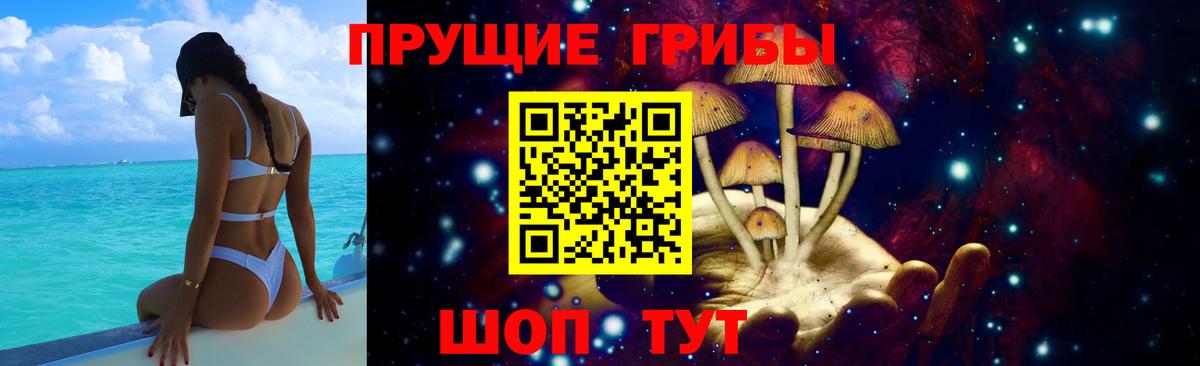 Псилоцибиновые грибы Psilocybine cubensis  Псилоцибиновые грибы Psilocybine cubensis  Вход с VPN  Мичуринск 