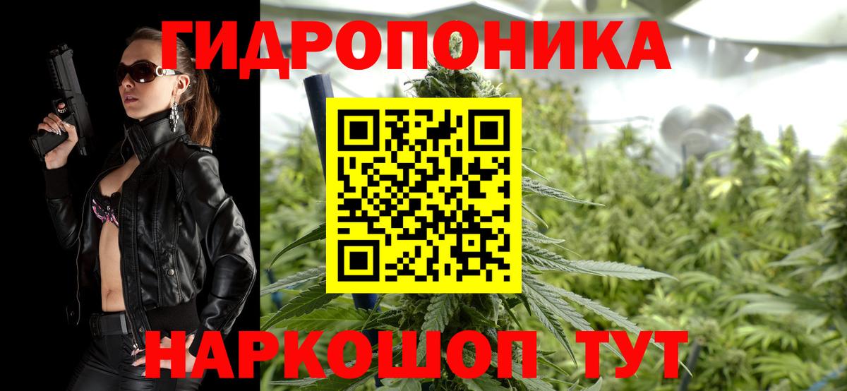 Каннабис сатива Мичуринск